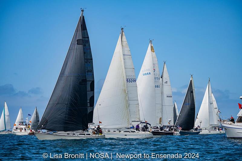 2024 Newport to Ensenada Race photo copyright Lisa Bronitt taken at  and featuring the J Class class