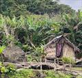 Vanuatu - Tanna Island - Typical hut