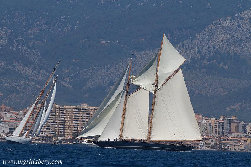 The Superyacht Cup in Palma day 1 photo copyright Ingrid Abery / www.ingridabery.com taken at Real Club Náutico de Palma and featuring the Classic Yachts class