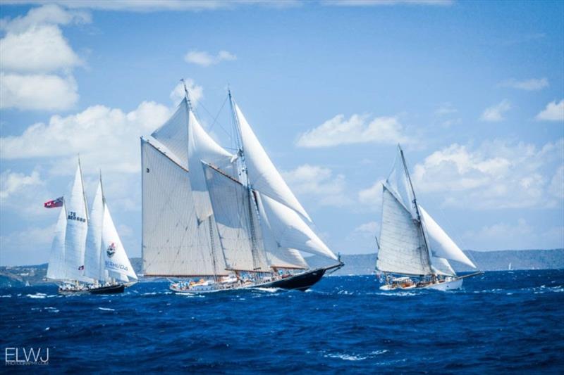 Antigua Classic Yacht Regatta photo copyright ELWJ Photography taken at Antigua Yacht Club and featuring the Classic Yachts class