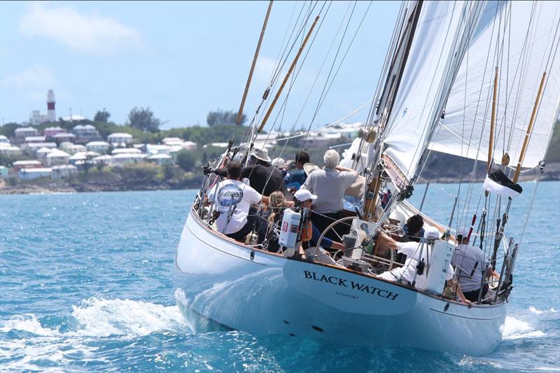 Black Watch photo copyright Charles Anderson taken at  and featuring the Classic Yachts class