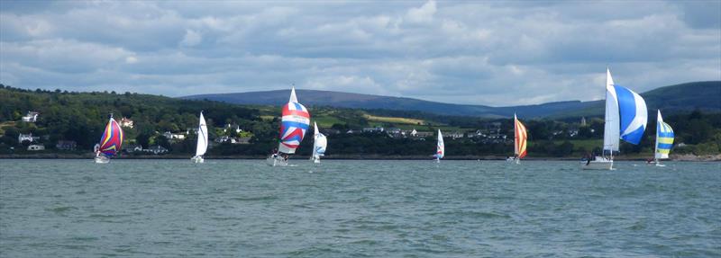 The offshore cruiser class yachts with colourful spinnakers flying at Solway YC Kippford Week photo copyright Becky Davison taken at Solway Yacht Club and featuring the Cruising Yacht class