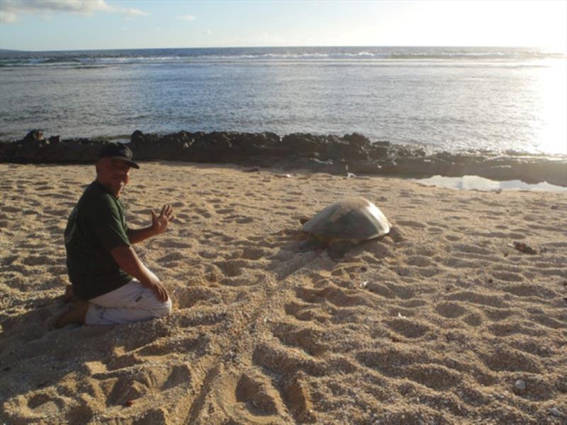 Joseph Ruak, CNMI Department of Lands and Natural Resources staff, ensures that turtles depart safely after long nights spent laying eggs on nesting beaches in Saipan photo copyright Tammy Summers taken at  and featuring the Cruising Yacht class