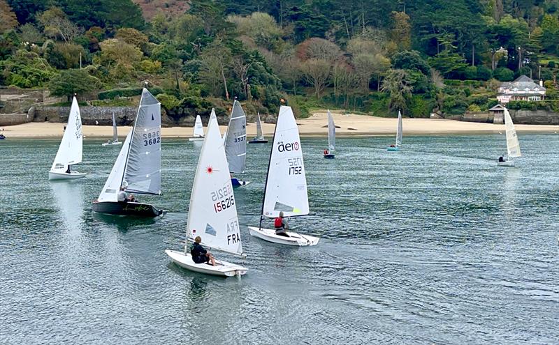 Salcombe Yacht Club Winter Series Race 4 photo copyright Lucy Burn taken at Salcombe Yacht Club and featuring the Dinghy class