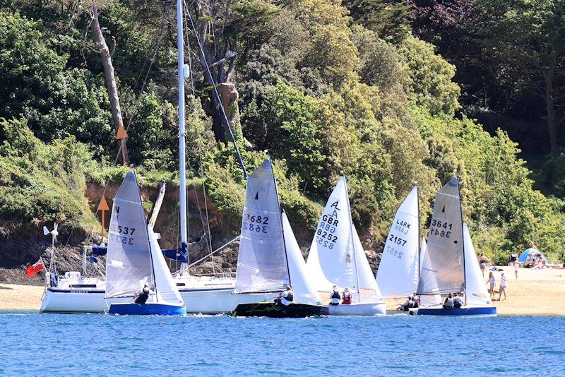Salcombe YC Sailing Club Series race 7 photo copyright Lucy Burn taken at Salcombe Yacht Club and featuring the Dinghy class