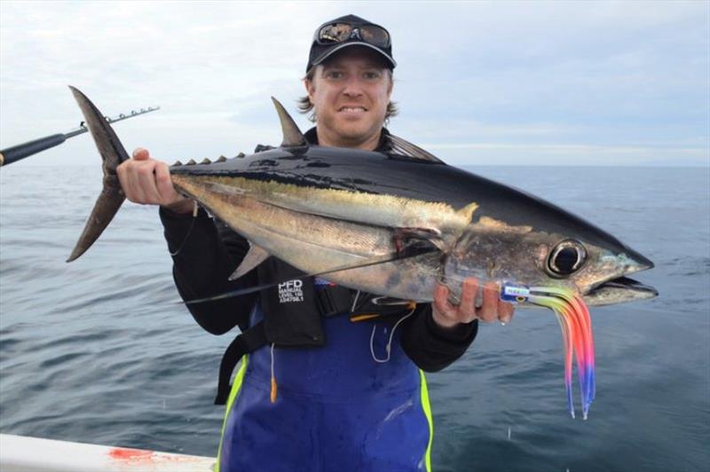 Another cracking Albie from Storm Bay - photo © Spot On Fishing Hobart