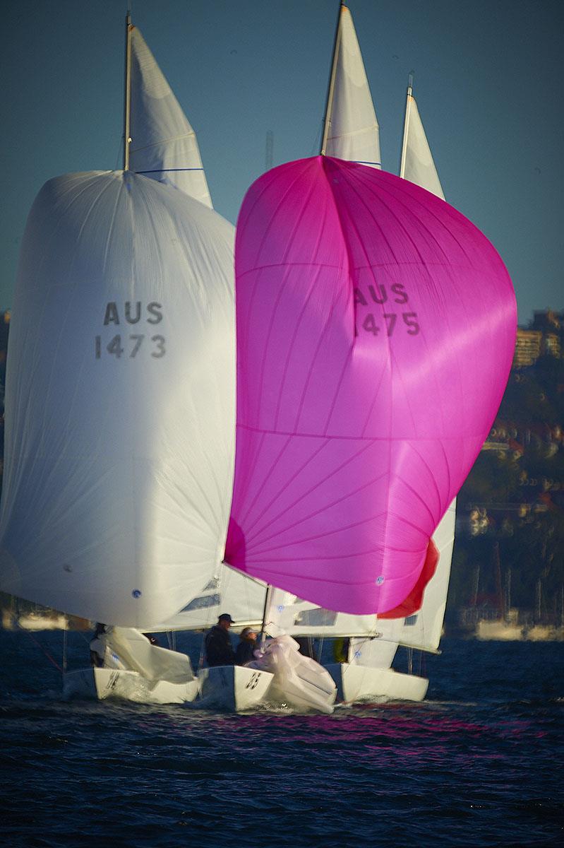 The bright pink immediately signals where Jeanne-Claude Strong and her crew are on the racetrack photo copyright David Mandelberg taken at Royal Sydney Yacht Squadron and featuring the Etchells class