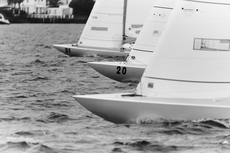 Try and pick a winner - David Forbes Shield Regatta photo copyright David Mandelberg taken at Royal Sydney Yacht Squadron and featuring the Etchells class