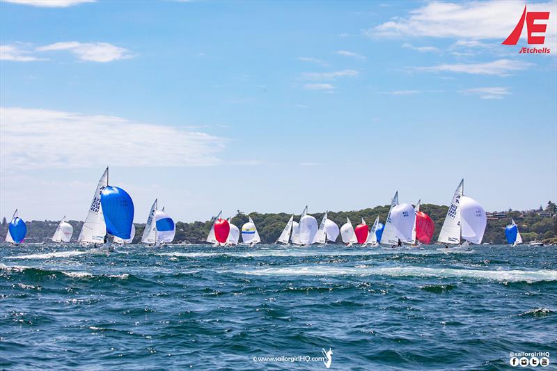 Incredible racing in a perfect north easterly - Etchells NSW Championship photo copyright Nic Douglass / www.AdventuresofaSailorGirl.com taken at Royal Sydney Yacht Squadron and featuring the Etchells class