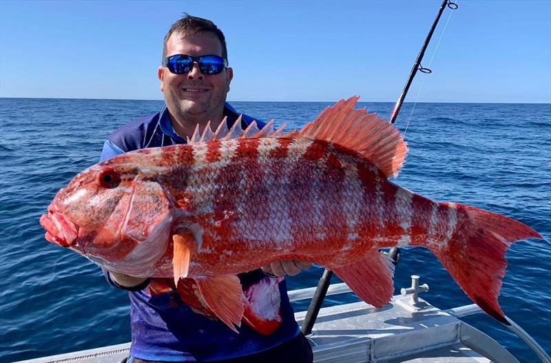 If it's red, it's..........nope, just a chinaman fish. Better luck next time Brett photo copyright Fisho's Tackle World taken at  and featuring the Fishing boat class