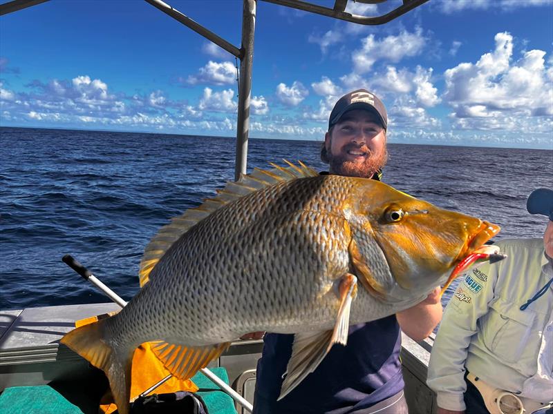How's this for a behemoth spangled emperor! It weighed 10kg and was caught on 20lb tackle and a 5` Zman soft plastic, onboard Keely Rose. - photo © Fisho's Tackle World