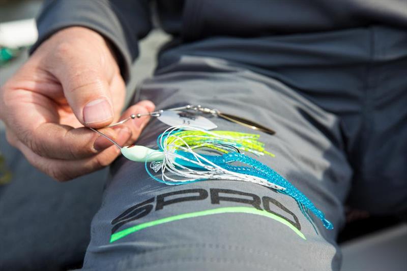 Spinnerbait photo copyright SPRO taken at  and featuring the Fishing boat class