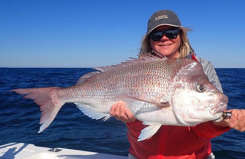 Tri from Fraser Guided Fishing has been putting clients on to some great fish, like this beautiful snapper photo copyright Fisho's Tackle World taken at  and featuring the Fishing boat class