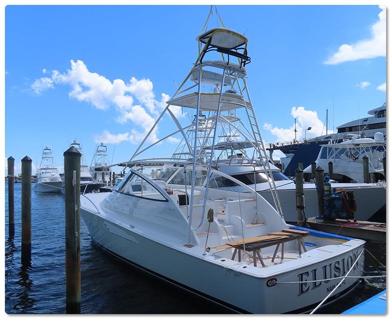 Elusion photo copyright Viking Yachts taken at  and featuring the Fishing boat class