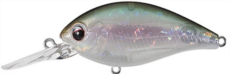 Ghost Shad (new color) photo copyright Daiwa taken at  and featuring the Fishing boat class