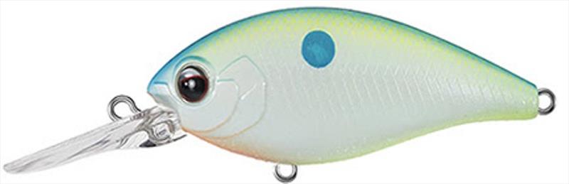 Champion Shad (new color) photo copyright Daiwa taken at  and featuring the Fishing boat class
