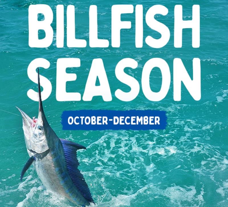 Billfish Season October-December photo copyright Fisho's Tackle World taken at  and featuring the Fishing boat class