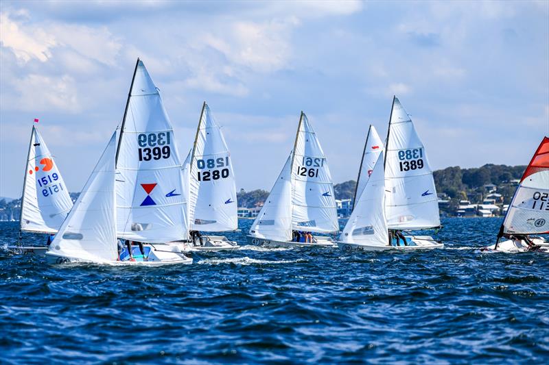 Div 4 Close racing in the F11 fleet on Zhik Combined High Schools (CHS) Sailing Championships Day 1 - photo © Red Hot Shotz Sports Photography / Chris Munro