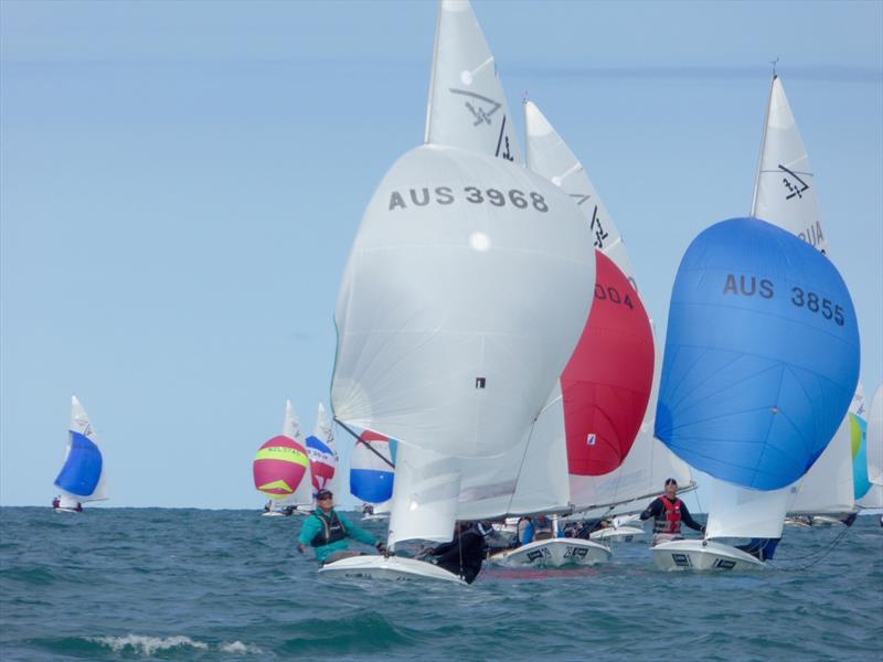 Milne and Williams (AUS) on day 3 of the Flying Fifteen Worlds at Napier photo copyright Jonny Fullerton taken at Napier Sailing Club and featuring the Flying Fifteen class