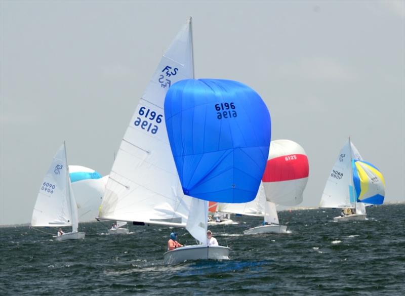 Flying Scot North American Chanpionship at Pensacola Yacht Club on Pensacola Bay. Day 1, the qualifying series. - photo © Talbot Wilson