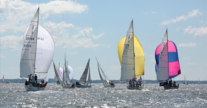 Division 1 racing underway - 2020 Helly Hansen NOOD Regatta Annapolis photo copyright Will Keyworth taken at Annapolis Yacht Club and featuring the IRC class