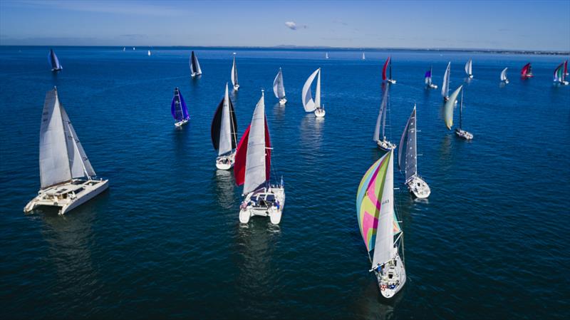 Festival of Sails photo copyright Salty Dingo taken at Royal Geelong Yacht Club and featuring the IRC class