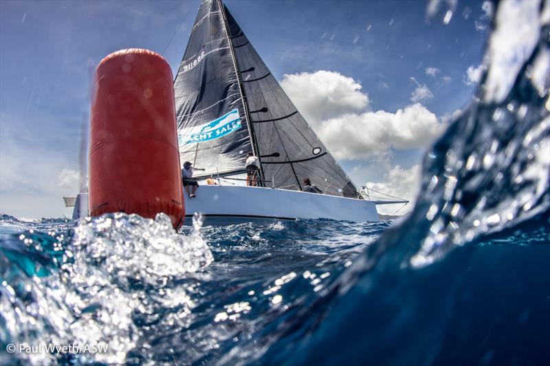 Bernie Evan Wong's Taz - Antigua Sailing Week Race photo copyright Paul Wyeth / pwpictures.com taken at Antigua Yacht Club and featuring the IRC class