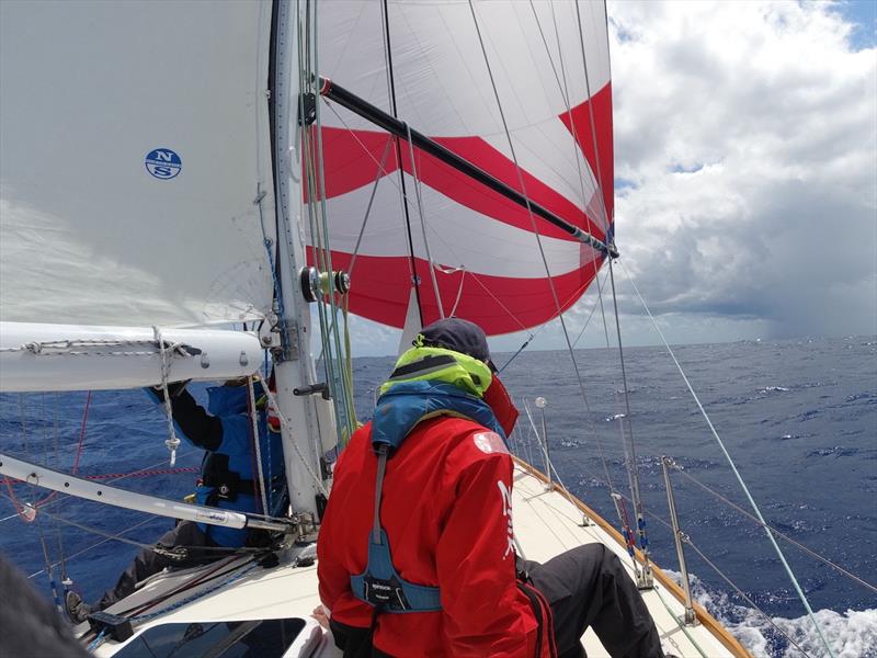 Towhee in the 2022 Race with their repaired pole sailing them into 3rd Place from crew Liz Sistare photo copyright Daniel Forster taken at Royal Bermuda Yacht Club and featuring the IRC class