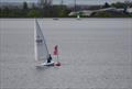 Queen Mary Sailing Club Spring Series Week 6