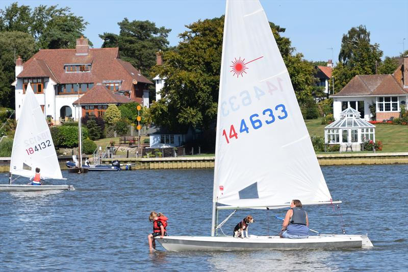 Racing fun during Oulton Week 2019 photo copyright Trish Barnes taken at Waveney & Oulton Broad Yacht Club and featuring the ILCA 7 class