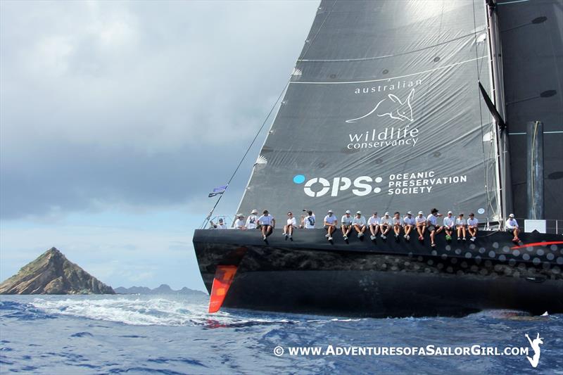 Comanche and volcano on Les Voiles de St Barth day 1 photo copyright Nic Douglass / www.AdventuresofaSailorGirl.com taken at Saint Barth Yacht Club and featuring the Maxi class