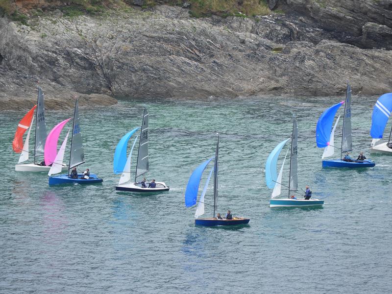 Salcombe Gin Merlin Rocket Week Day 2 morning race photo copyright Margaret Mackley taken at Salcombe Yacht Club and featuring the Merlin Rocket class
