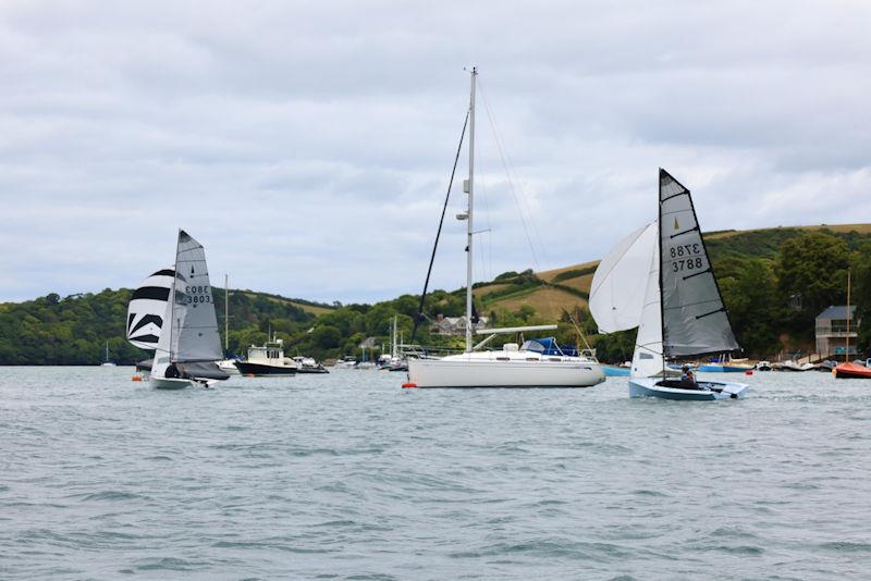 Salcombe Gin Merlin Rocket Week Day 2 photo copyright Lucy Burn taken at Salcombe Yacht Club and featuring the Merlin Rocket class
