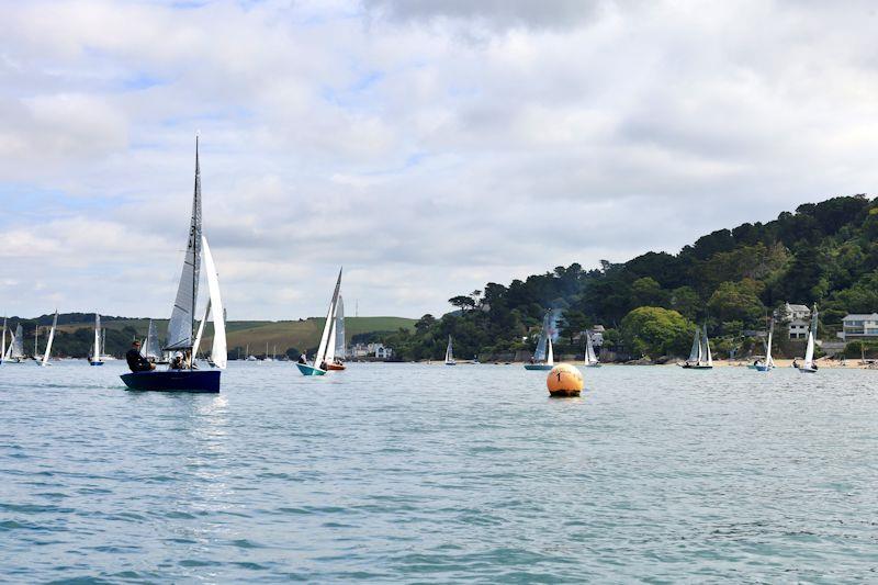 Salcombe Gin Merlin Rocket Week Day 3 photo copyright Lucy Burn taken at Salcombe Yacht Club and featuring the Merlin Rocket class
