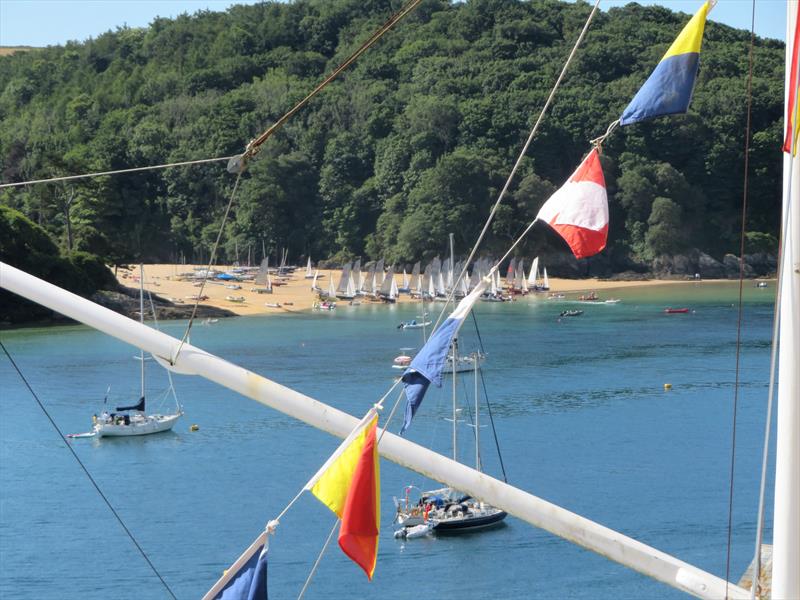 Salcombe Gin Merlin Rocket Week Day 6 Morning Race photo copyright Malcolm Mackley taken at Salcombe Yacht Club and featuring the Merlin Rocket class