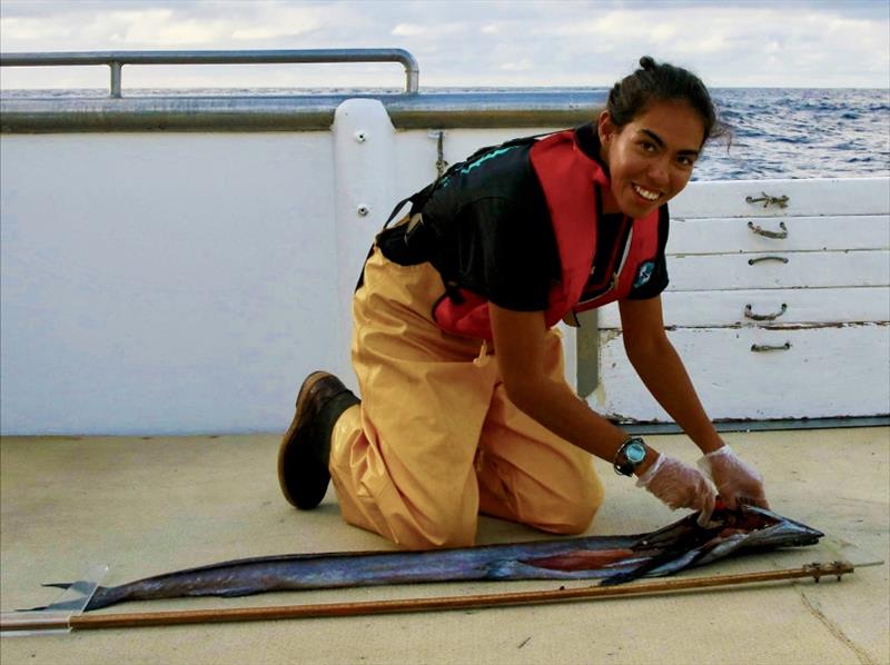 Pacific Islands observer Holly Naholowaa collecting the stomach of a lancetfish photo copyright NOAA Fisheries taken at 