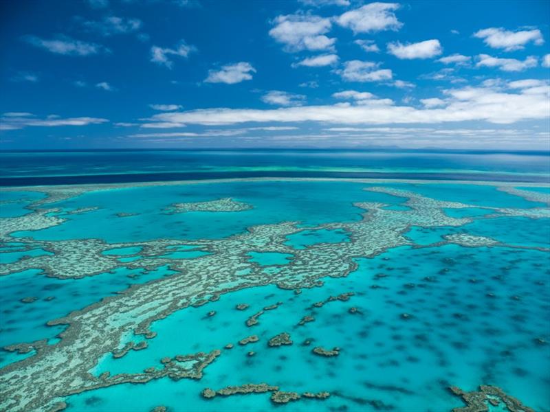 Learn about the Great Barrier Reef photo copyright Cruise Whitsundays taken at 