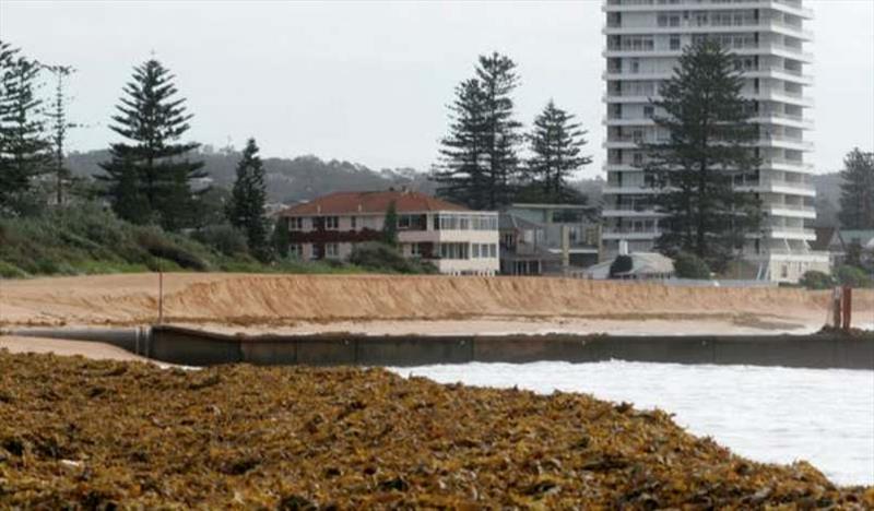 A pile of washed-up seaweed and beach erosion at Collaroy Beach on Sydney's northern beaches. Storms can damage blue carbon ecosystems photo copyright Megan Young / AAP taken at 