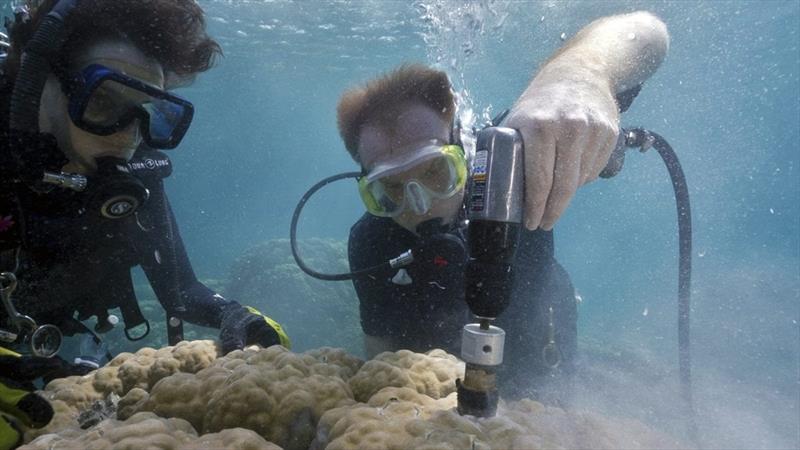 WHOI scientist Anne Cohen (left) and MIT-WHOI Joint Program student Nathan Mollica extract core samples from a giant Porites coral in Risong Bay, Palau photo copyright Richard Brooks, Lightning Strike Media Productions, Palau taken at 