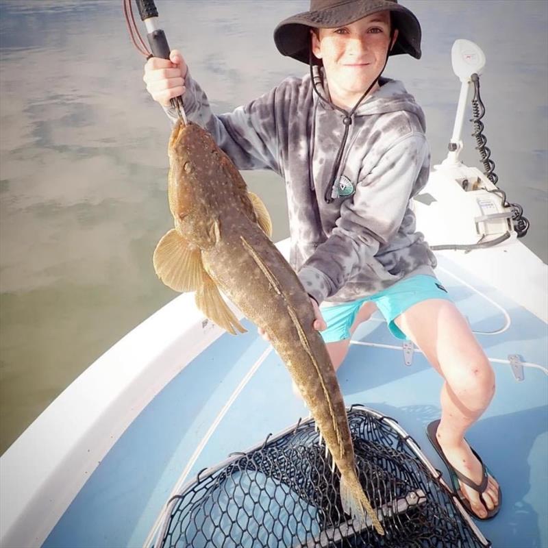 A big female dusky flathead caught and released on a recent charter with Fraser Guided Fishing photo copyright Fraser Guided Fishing taken at 