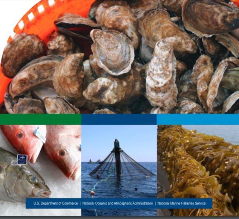 Guide to permitting marine aquaculture in the U.S photo copyright NOAA Fisheries taken at 