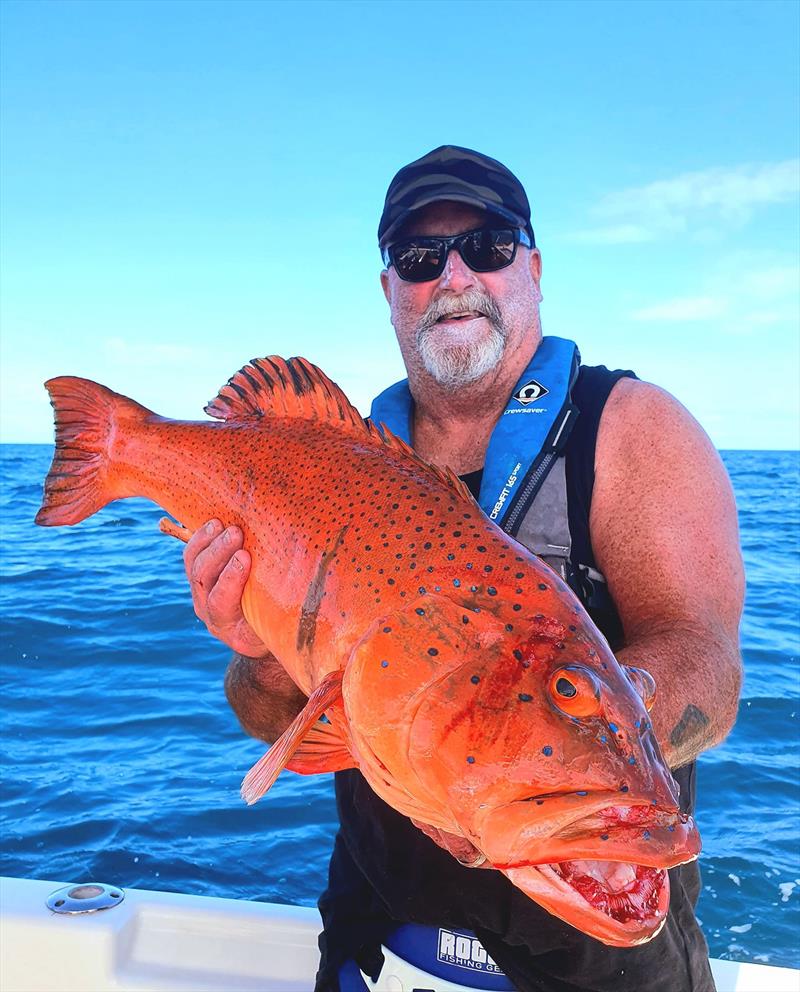 A solid coral trout caught on a recent charter with Hot Reels Pro Fish Charters photo copyright Fisho's Tackle World taken at 