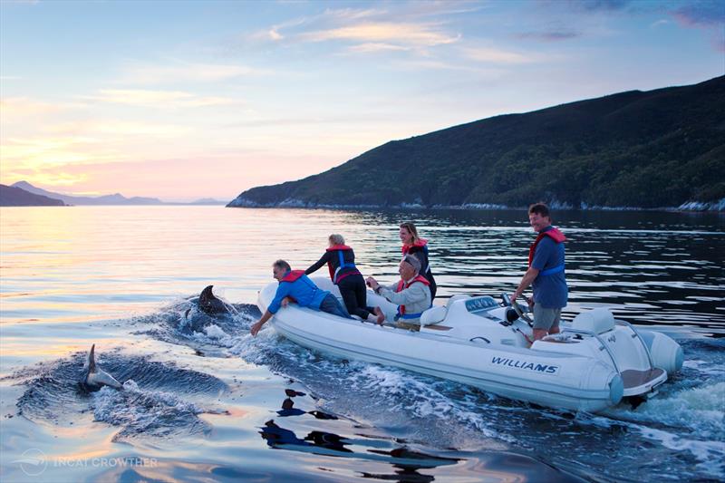 Guests in the jetboat are joined by dolphins at sunset photo copyright Mark Daffey taken at  and featuring the Power boat class