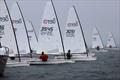 Sail Port Stephens Bay Series  - Ben Austin sail 3051 RS Aero honours © Promocean Media