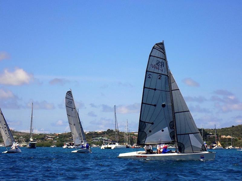 One Design Racing - RS Elites racing at Antigua Sailing Week last year - Antigua Sailing Week 2024 photo copyright Anna Black taken at Antigua Yacht Club and featuring the RS Elite class