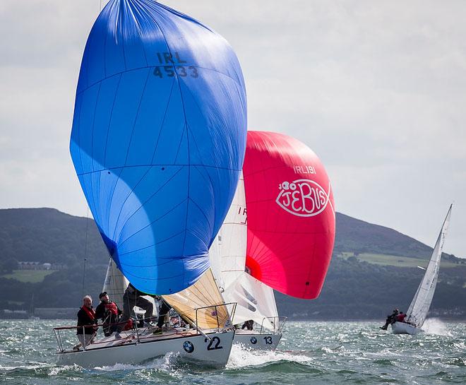 Howth Yacht Club, Co. Dublin, Ireland; Wednesday 28th August 2013: Mossy Shanahan’s Crazyhorse competing in race 4 of the BMW J24 World Championships at Howth Yacht Club. © David Branigan/Oceansport http://www.oceansport.ie/