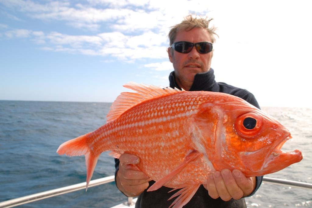 Charter skipper David Clayfield with a snorter Bight redfish. They can reach impressive sizes. © Shane Murton