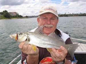 Gary Brown takes a look at something a little left field for estuary anglers, catching whiting on lures photo copyright Jarrod Day taken at  and featuring the  class