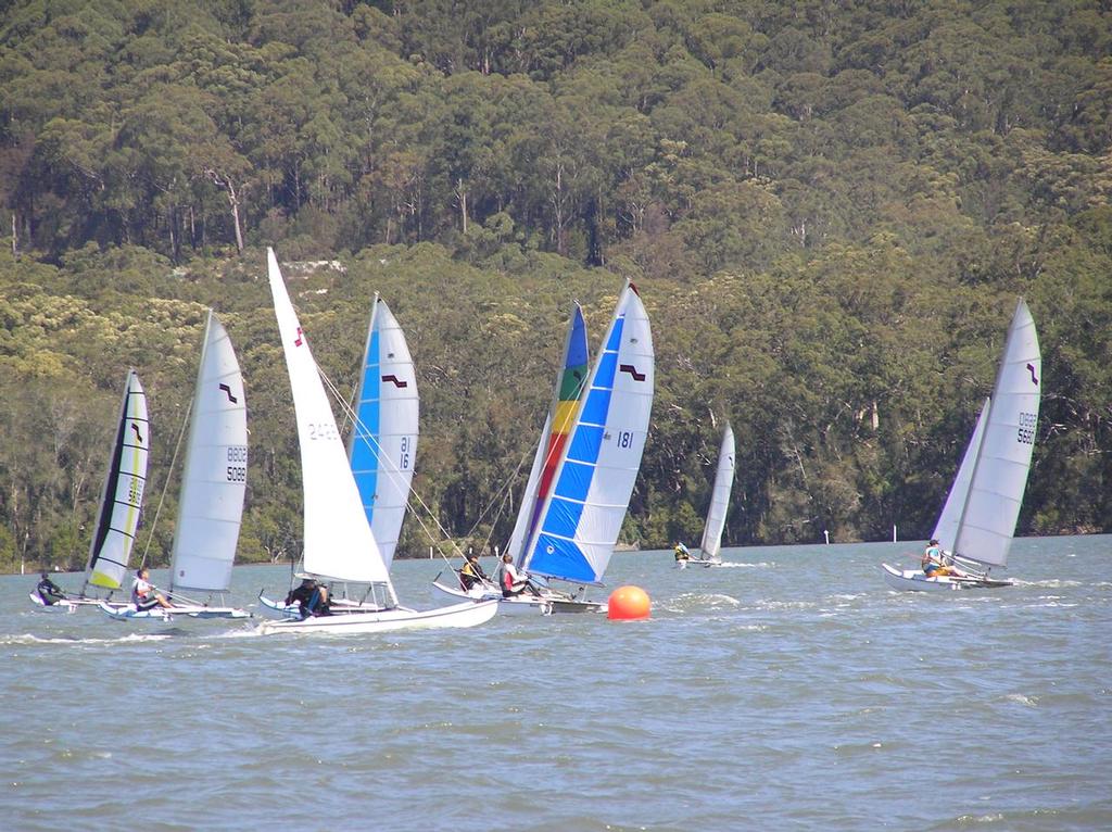 Crowded bottom mark in the Cat division - Maricat 2013/14 NSW State Titles photo copyright Martina Holt taken at  and featuring the  class