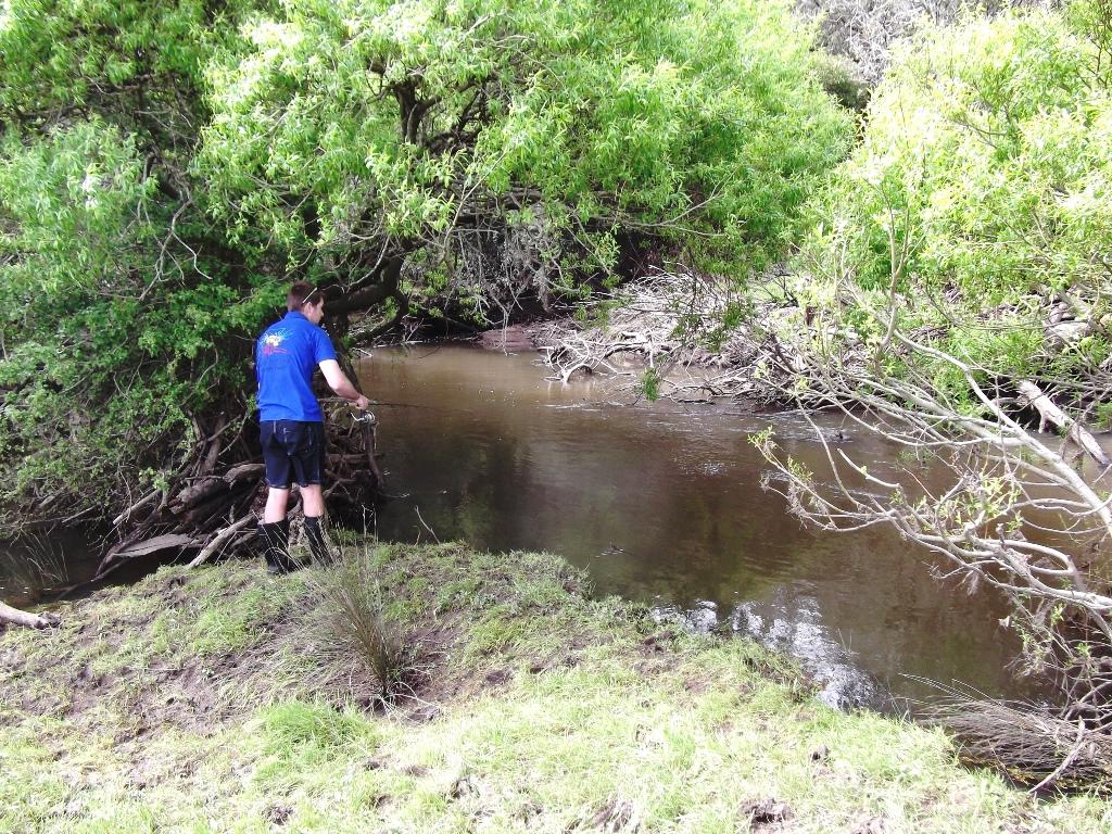 Under the willows is a great spot for lurking trout. © Carl Hyland